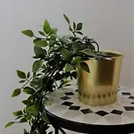 Appartement Cozy Nest With Free Parking *